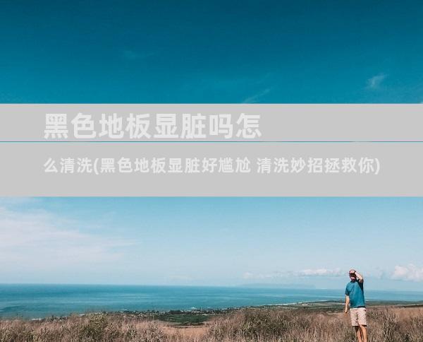 黑色地板显脏吗怎么清洗(黑色地板显脏好尴尬 清洗妙招拯救你)